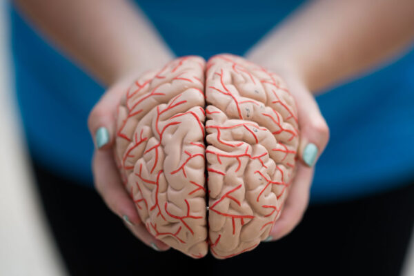 brain in hands