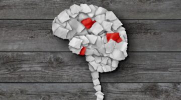 brain, brain cancer, glioma