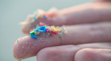 Multicolored microplastics on a persn's finger