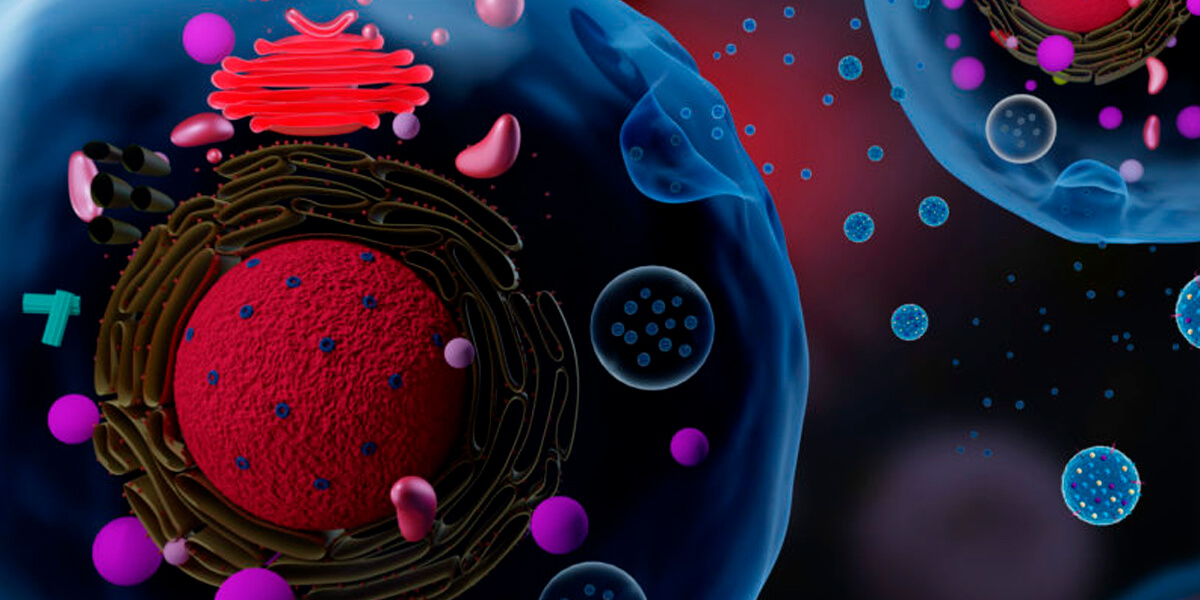 The Top-Ranked Private Cord Blood Banks in the U.S. The Top-Ranked Private Cord Blood Banks in the U.S.