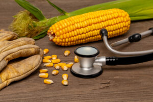 Stethoscope with leather work gloves and corn. Rural healthcare, farmer mental health and farm worker health and safety concept rural health