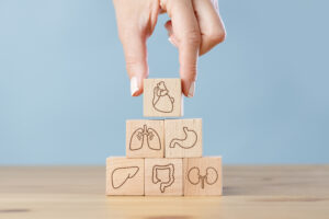 Hand arranging wood block stacking with icon internal organs