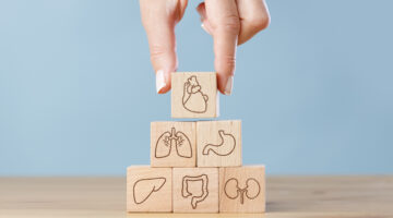 Hand arranging wood block stacking with icon internal organs
